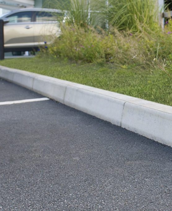 page29-scaled-e1635244626731-555x680_0002_Фон